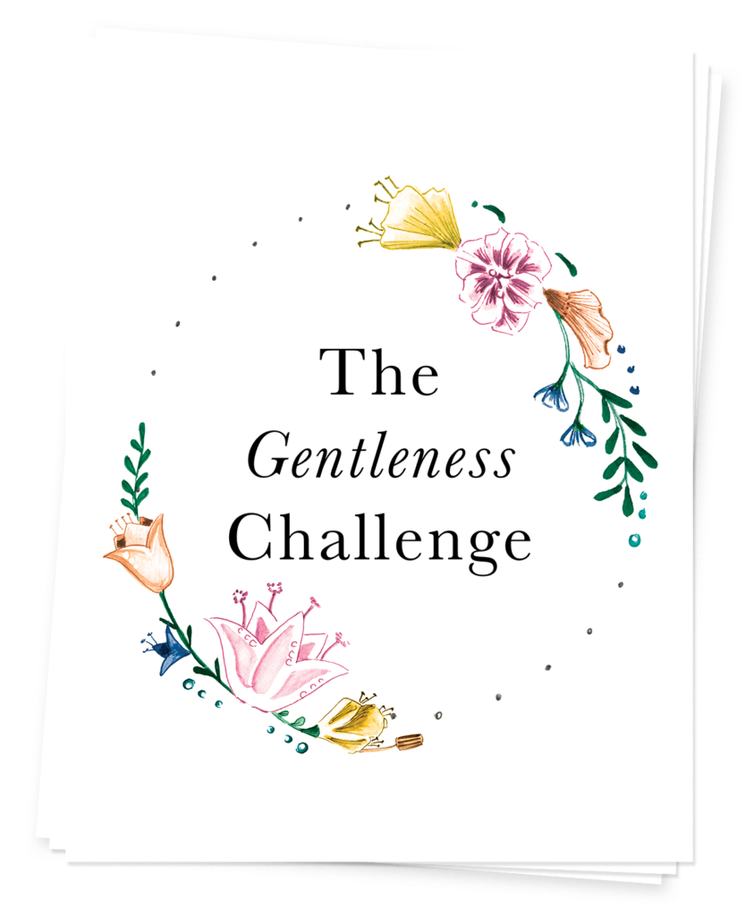 The Gentleness Challenge