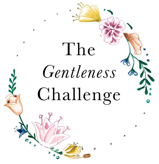 The Gentleness Challenge eBook